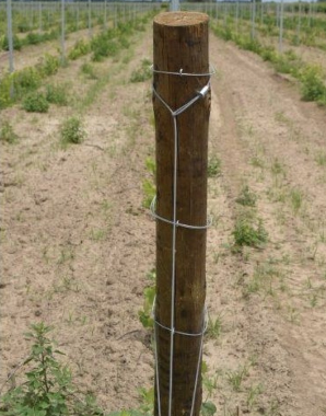 Drveni impregnirani stub 10 × 12